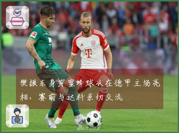 樊振东身穿蜜蜂球衣在德甲主场亮相，赛前与达科亲切交流